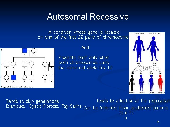 Autosomal Recessive A condition whose gene is located on one of the first 22