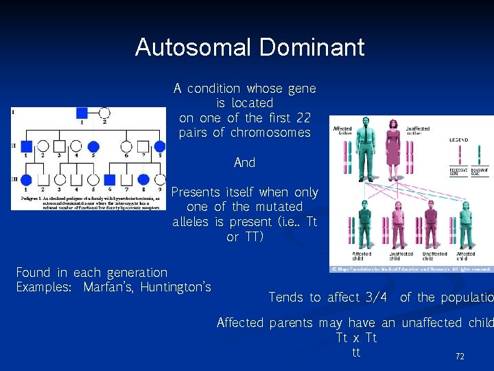 Autosomal Dominant A condition whose gene is located on one of the first 22