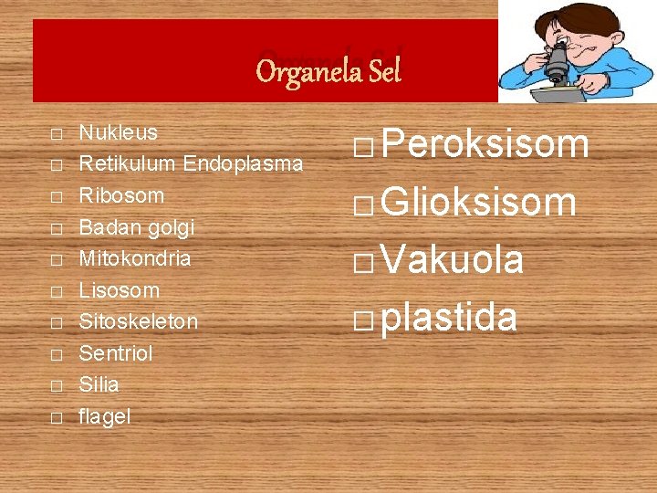 Organela Sel � � � � � Nukleus Retikulum Endoplasma Ribosom Badan golgi Mitokondria