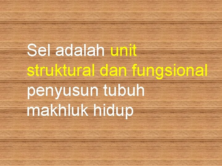 Cell Sel Adalah Unit Struktural Dan Fungsional Penyusun