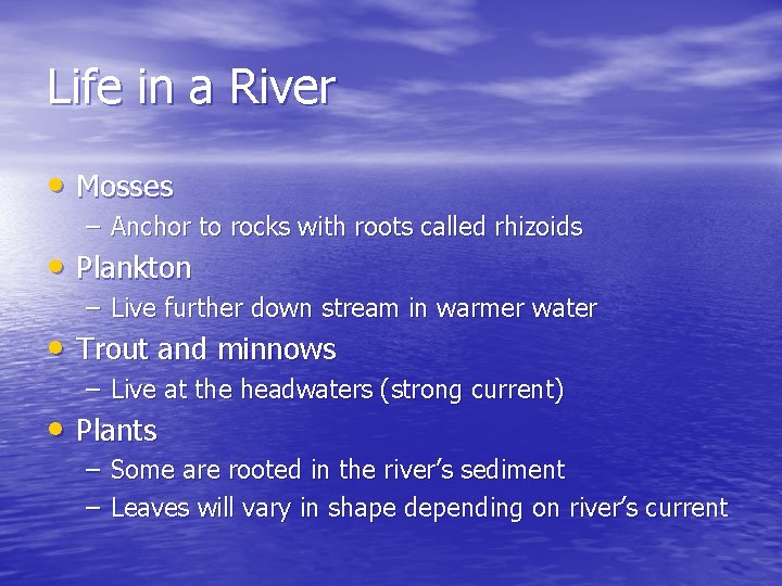 Life in a River • Mosses – Anchor to rocks with roots called rhizoids