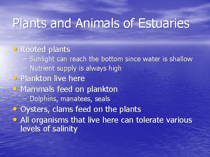Plants and Animals of Estuaries • Rooted plants – Sunlight can reach the bottom