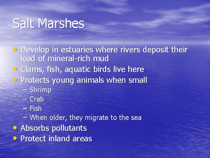 Salt Marshes • Develop in estuaries where rivers deposit their • • load of