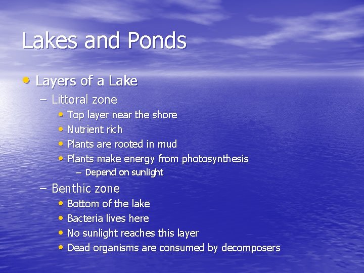 Lakes and Ponds • Layers of a Lake – Littoral zone • Top layer