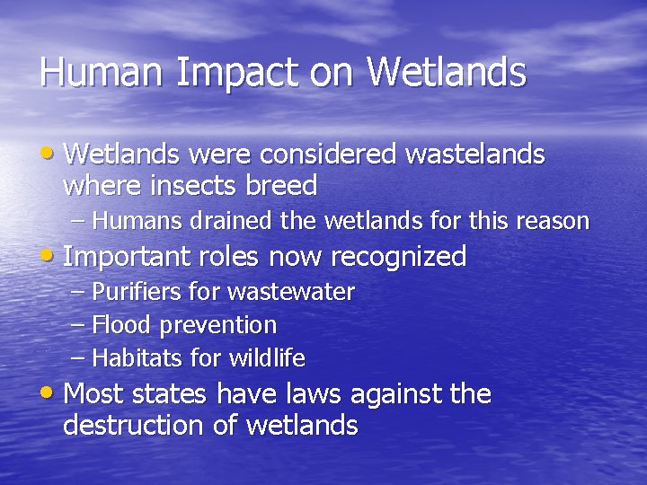 Human Impact on Wetlands • Wetlands were considered wastelands where insects breed – Humans
