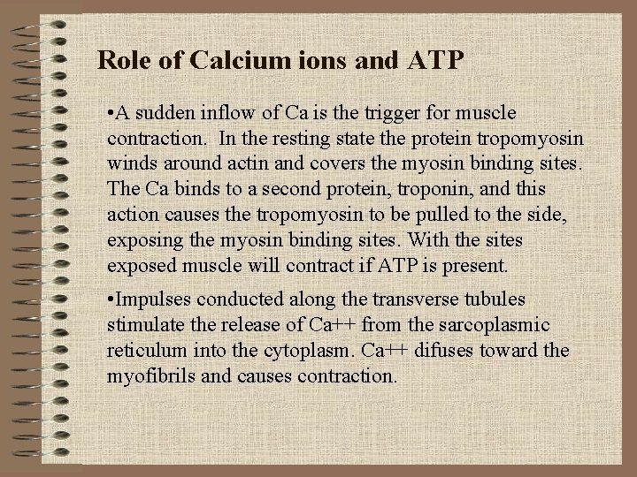 Role of Calcium ions and ATP • A sudden inflow of Ca is the