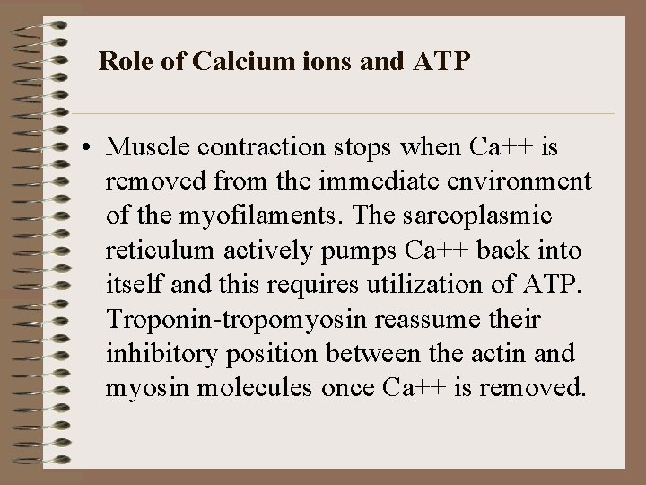 Role of Calcium ions and ATP • Muscle contraction stops when Ca++ is removed