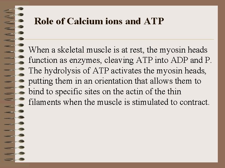 Role of Calcium ions and ATP When a skeletal muscle is at rest, the