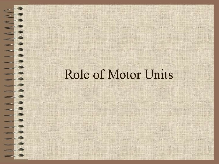 Role of Motor Units 