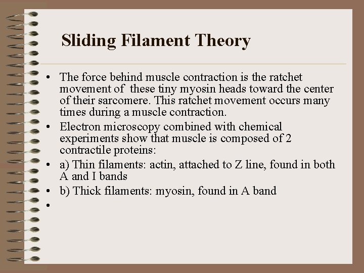 Sliding Filament Theory • The force behind muscle contraction is the ratchet movement of