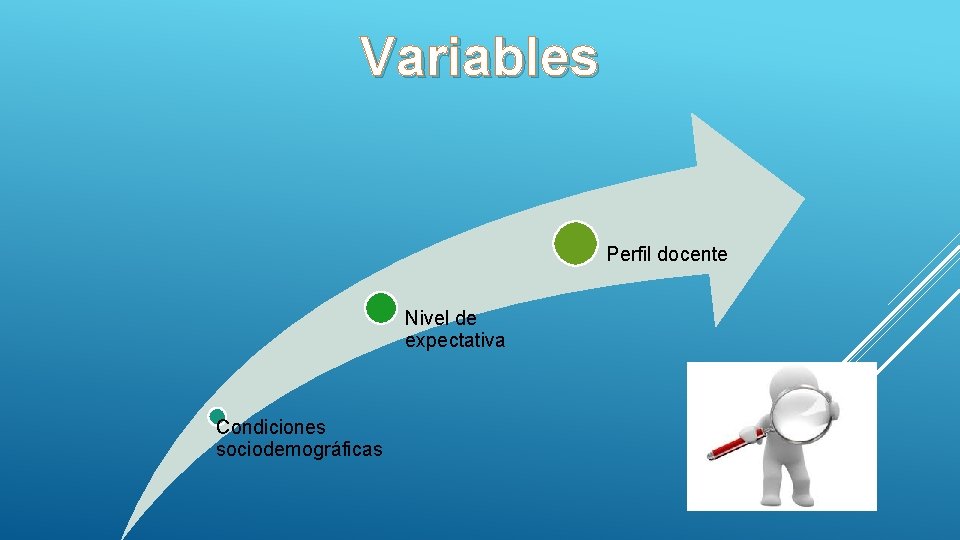 Variables Perfil docente Nivel de expectativa Condiciones sociodemográficas 