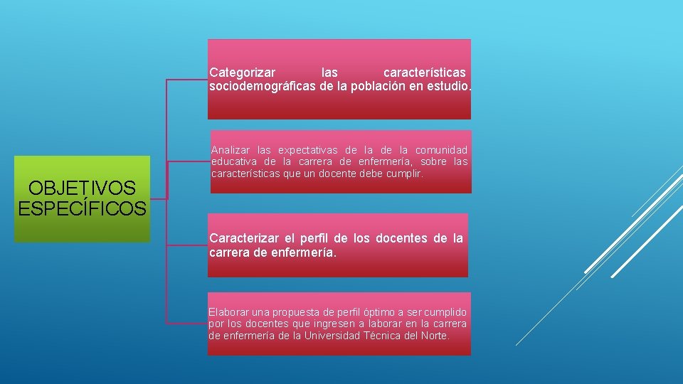 Categorizar las características sociodemográficas de la población en estudio. OBJETIVOS ESPECÍFICOS Analizar las expectativas