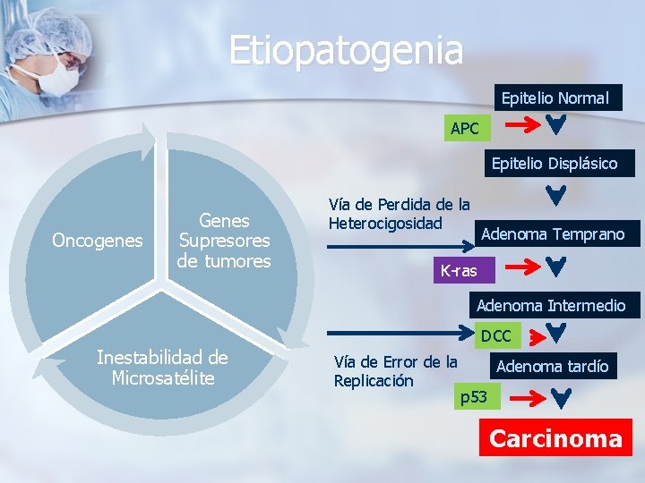 Etiopatogenia Epitelio Normal APC Epitelio Displásico Oncogenes Genes Supresores de tumores Vía de Perdida