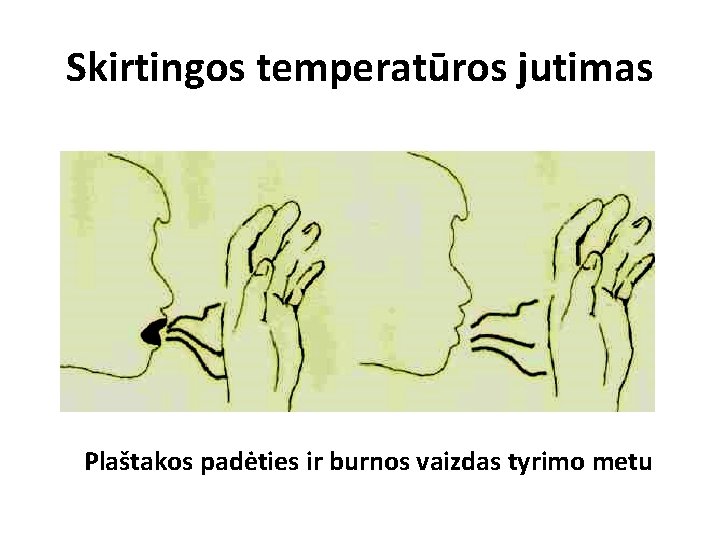 Skirtingos temperatūros jutimas Plaštakos padėties ir burnos vaizdas tyrimo metu 