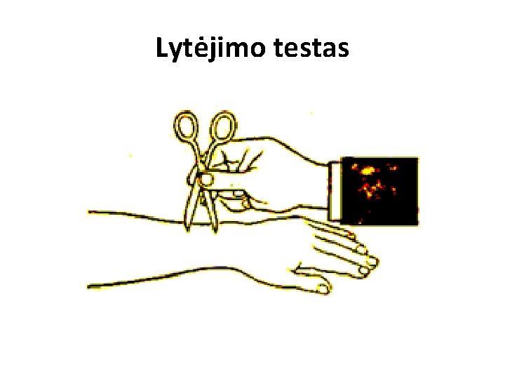 Lytėjimo testas 