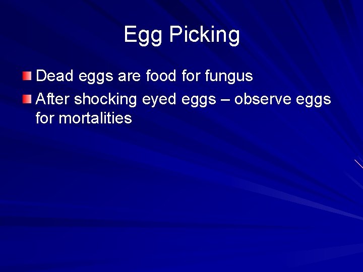 Egg Picking Dead eggs are food for fungus After shocking eyed eggs – observe