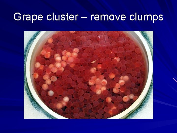 Grape cluster – remove clumps 