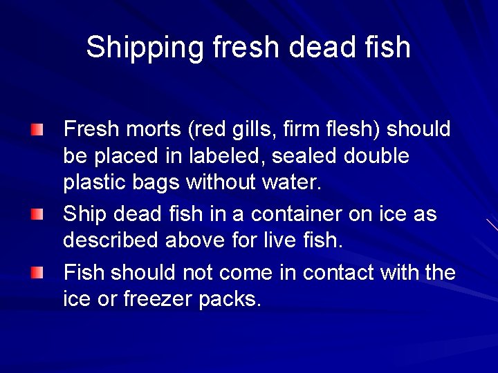 Shipping fresh dead fish Fresh morts (red gills, firm flesh) should be placed in