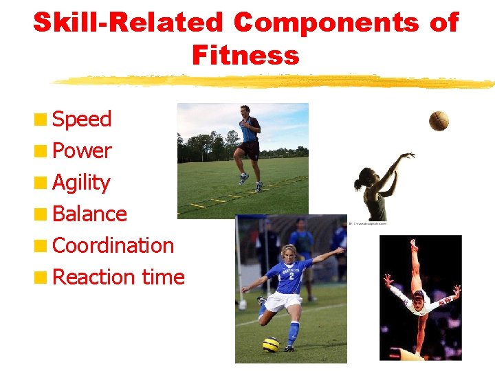 Skill-Related Components of Fitness <Speed <Power <Agility <Balance <Coordination <Reaction time 