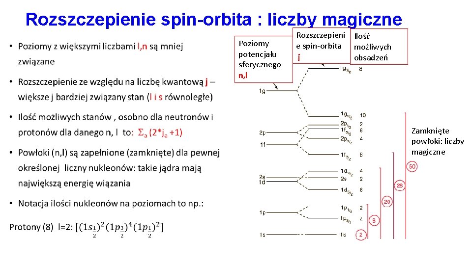 Rozszczepienie spin-orbita : liczby magiczne • Poziomy potencjału sferycznego n, l Rozszczepieni Ilość e