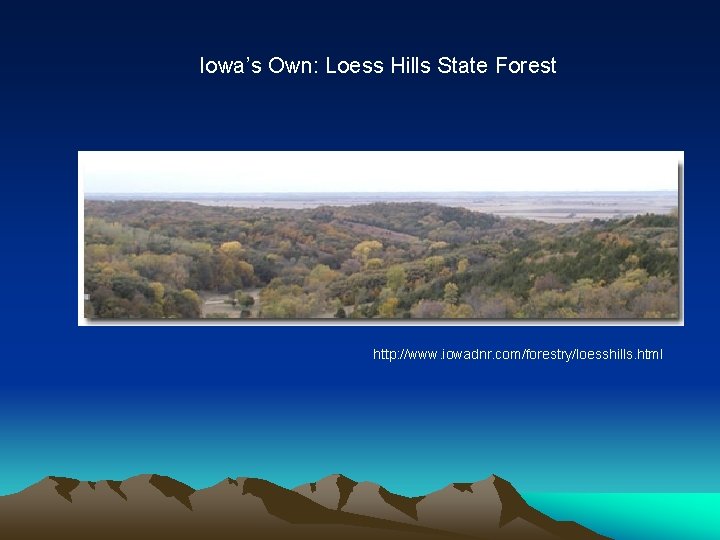 Iowa’s Own: Loess Hills State Forest http: //www. iowadnr. com/forestry/loesshills. html 