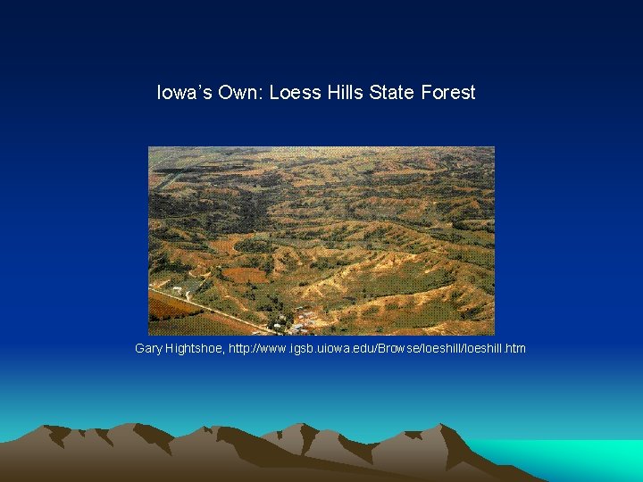 Iowa’s Own: Loess Hills State Forest Gary Hightshoe, http: //www. igsb. uiowa. edu/Browse/loeshill. htm