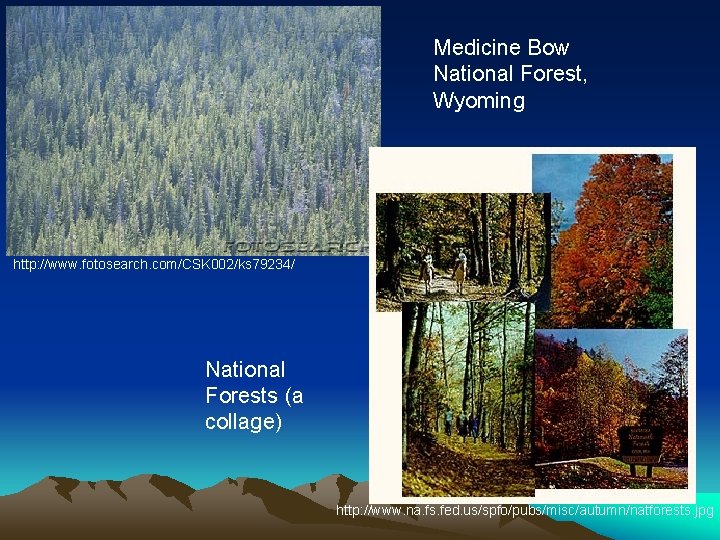 Medicine Bow National Forest, Wyoming http: //www. fotosearch. com/CSK 002/ks 79234/ National Forests (a