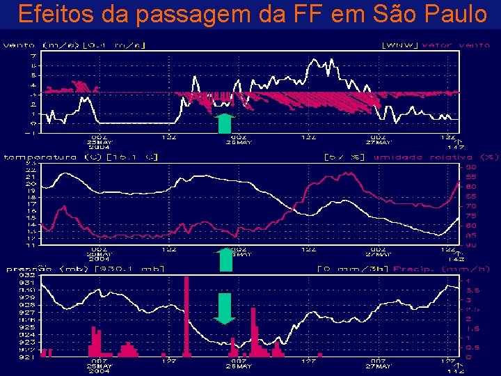 Efeitos da passagem da FF em São Paulo 