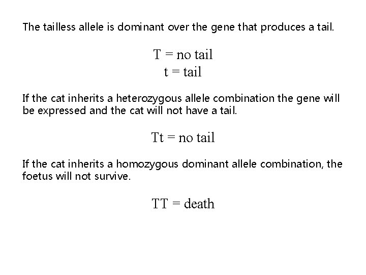 The tailless allele is dominant over the gene that produces a tail. T = The tailless allele is dominant over the gene that produces a tail. T =