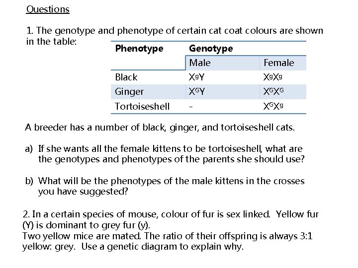 Questions 1. The genotype and phenotype of certain cat colours are shown in the