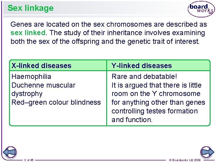 Sex linkage Genes are located on the sex chromosomes are described as sex linked.