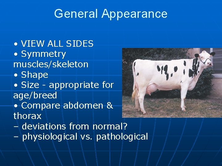 General Appearance • VIEW ALL SIDES • Symmetry muscles/skeleton • Shape • Size -