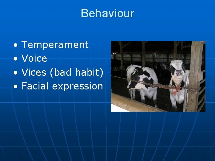 Behaviour • • Temperament Voice Vices (bad habit) Facial expression 