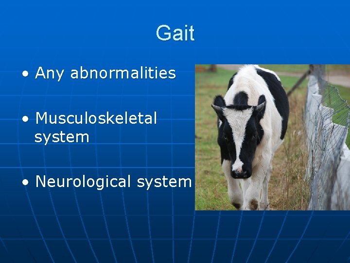 Gait • Any abnormalities • Musculoskeletal system • Neurological system 