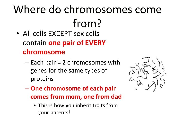 Where do chromosomes come from? • All cells EXCEPT sex cells contain one pair