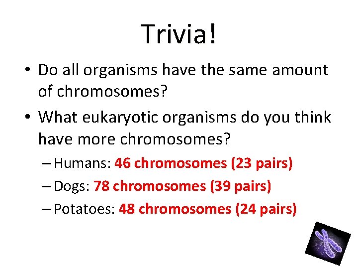 Trivia! • Do all organisms have the same amount of chromosomes? • What eukaryotic