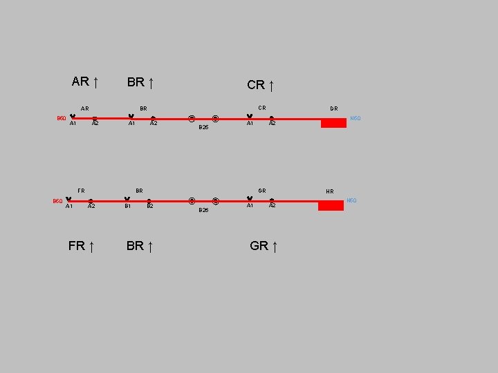 AR ↑ B 50 BR ↑ AR BR A 1 A 2 FR BR