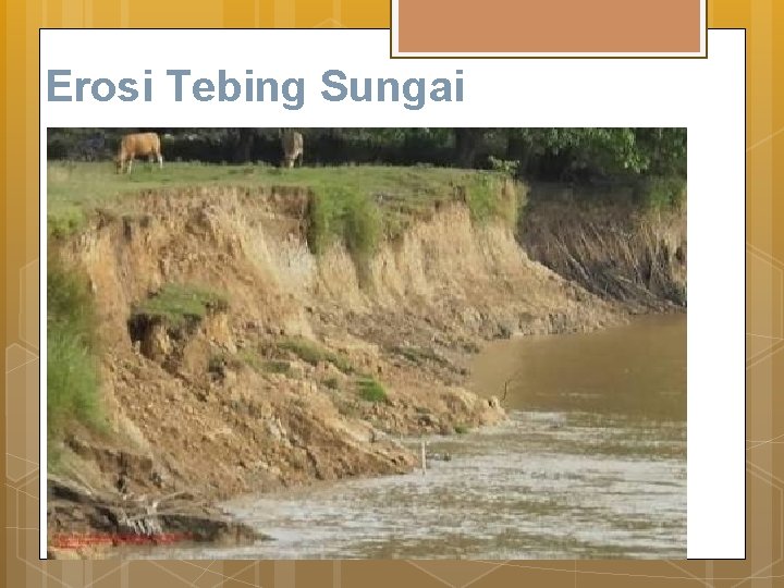 Erosi Tebing Sungai 