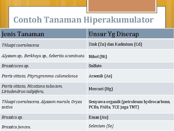 Contoh Tanaman Hiperakumulator Jenis Tanaman Unsur Yg Diserap Thlaspi caerulescens Zink (Zn) dan Kadmium