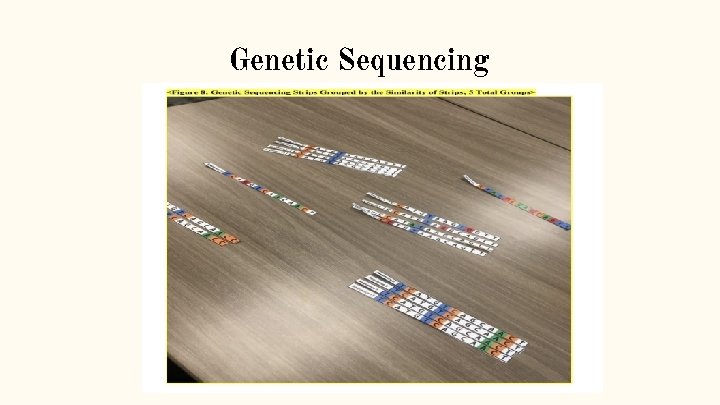 Genetic Sequencing 
