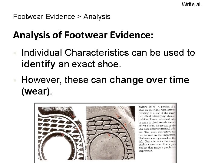 Write all Footwear Evidence > Analysis of Footwear Evidence: § Individual Characteristics can be