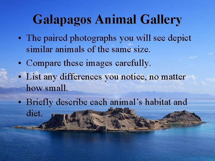 Galapagos Animal Gallery • The paired photographs you will see depict similar animals of