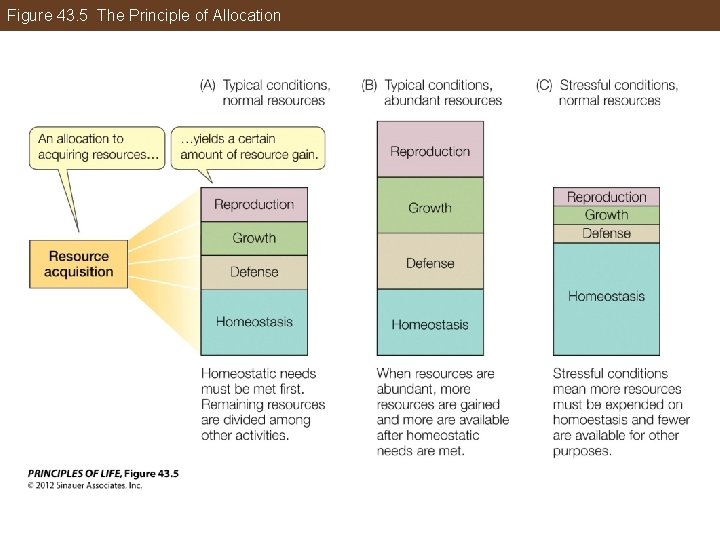 Figure 43. 5 The Principle of Allocation 