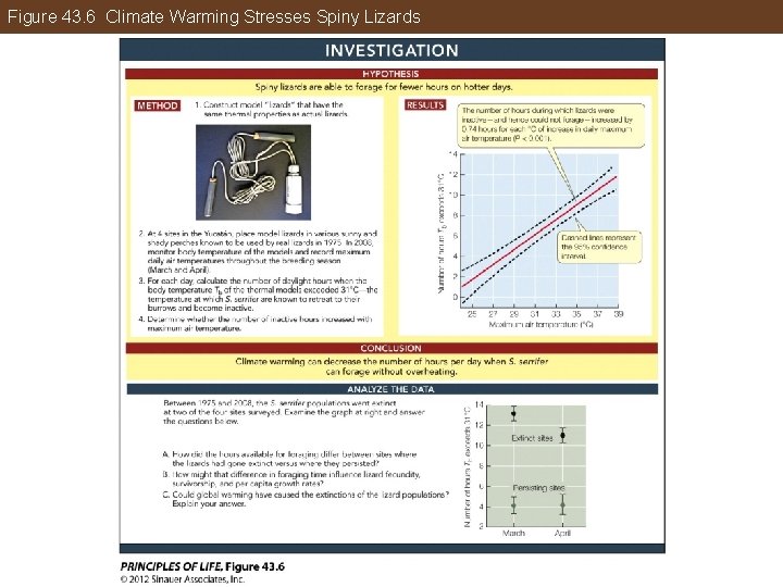 Figure 43. 6 Climate Warming Stresses Spiny Lizards 