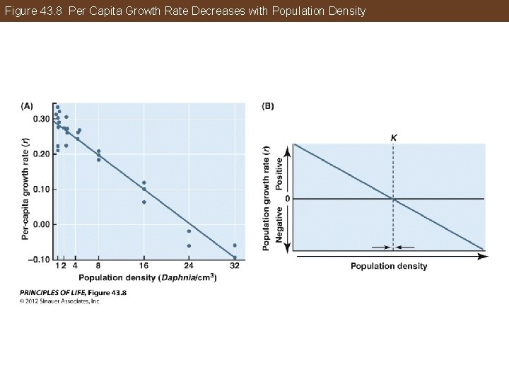 Figure 43. 8 Per Capita Growth Rate Decreases with Population Density 