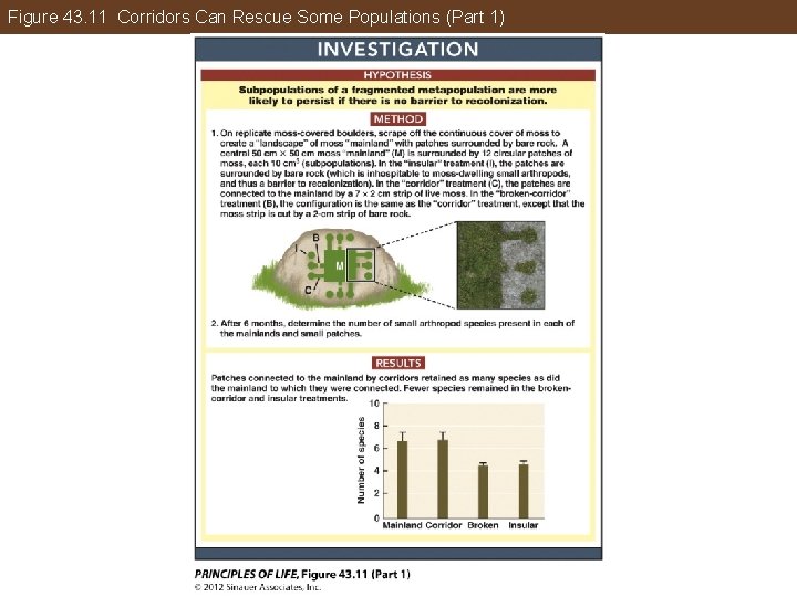 Figure 43. 11 Corridors Can Rescue Some Populations (Part 1) 