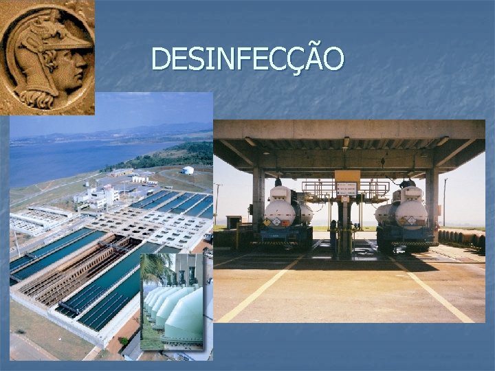 DESINFECÇÃO 