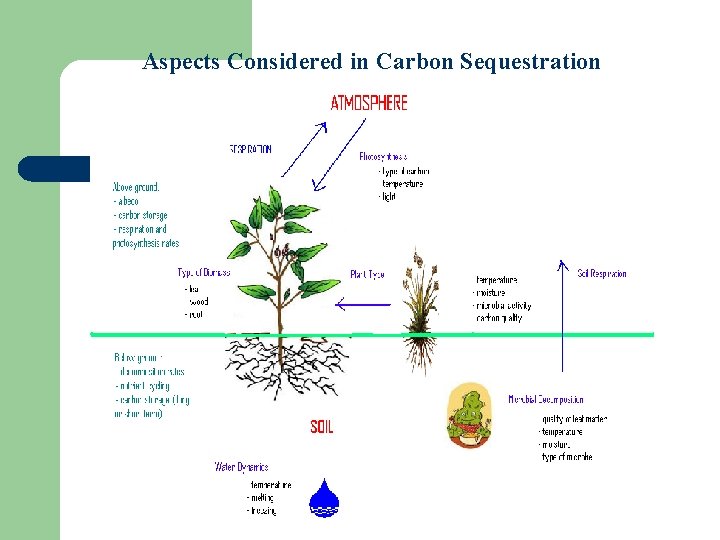 Aspects Considered in Carbon Sequestration Aspects Considered in Carbon Sequestration