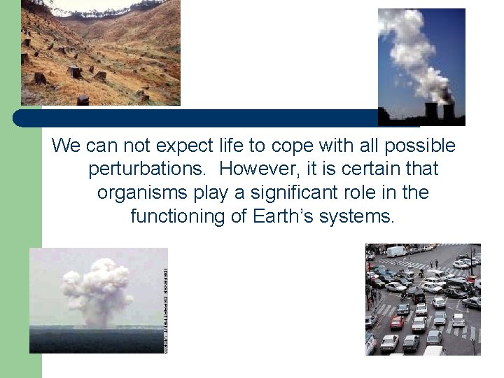 We can not expect life to cope with all possible perturbations. However, it is We can not expect life to cope with all possible perturbations. However, it is