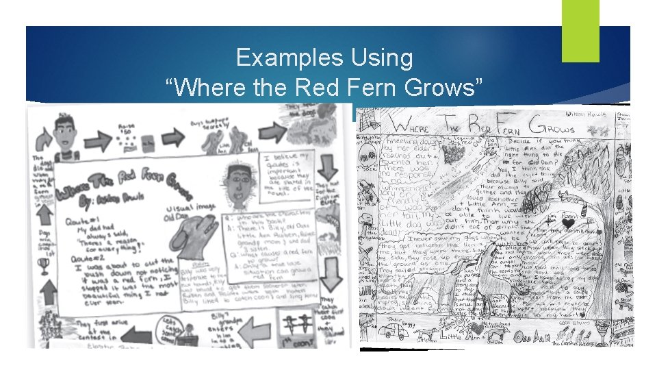 Examples Using “Where the Red Fern Grows” 